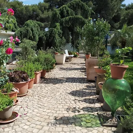 Paradise