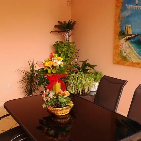 Bed and Breakfast Paradise 4*