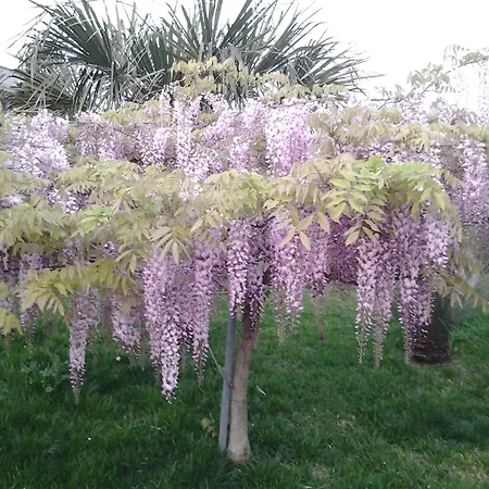 Paradise Bed & Breakfast 4*