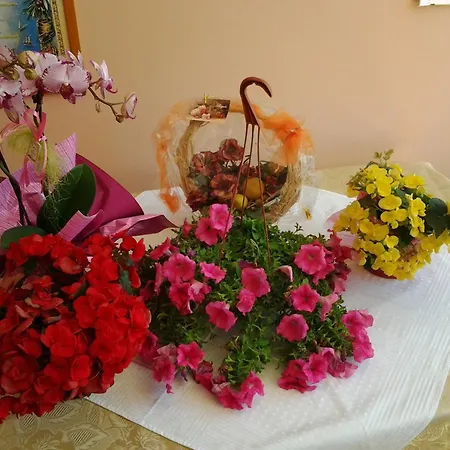 Paradise מלנדוניו