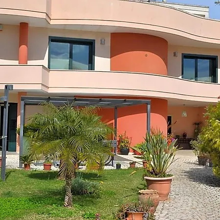 Paradise 4*