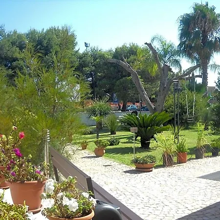 Paradise