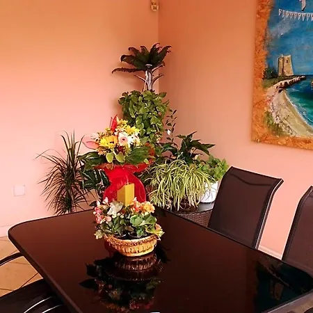 Paradise فندق مبيت وإفطار 4*